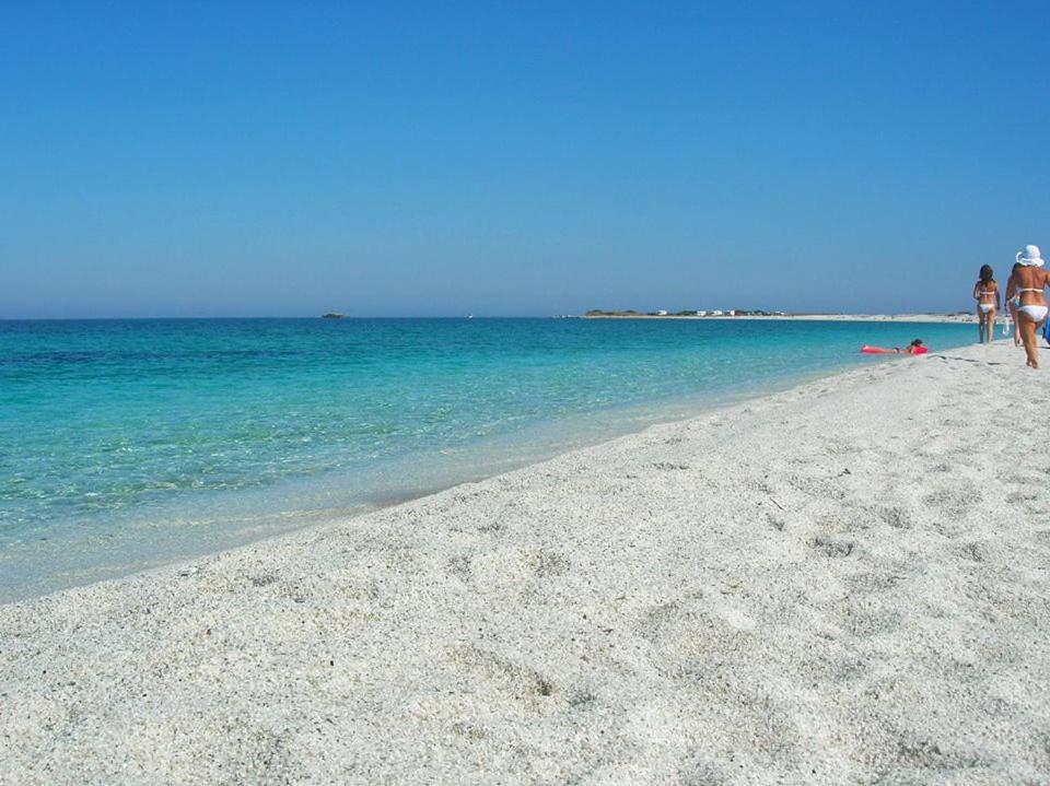 Zeddiani Sardinia Eco Vegan House B&B 외부 사진