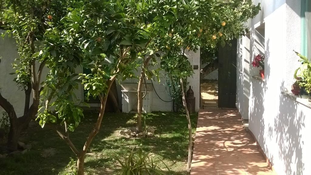 Zeddiani Sardinia Eco Vegan House B&B 외부 사진