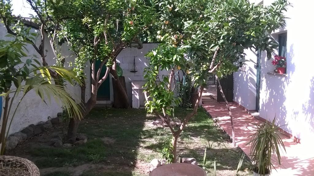 Zeddiani Sardinia Eco Vegan House B&B 외부 사진